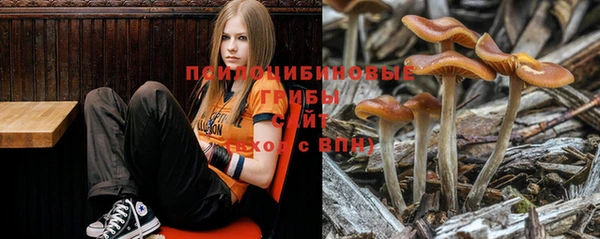 mdma Бородино