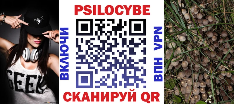 Псилоцибиновые грибы Psilocybine cubensis  Каменск-Уральский 
